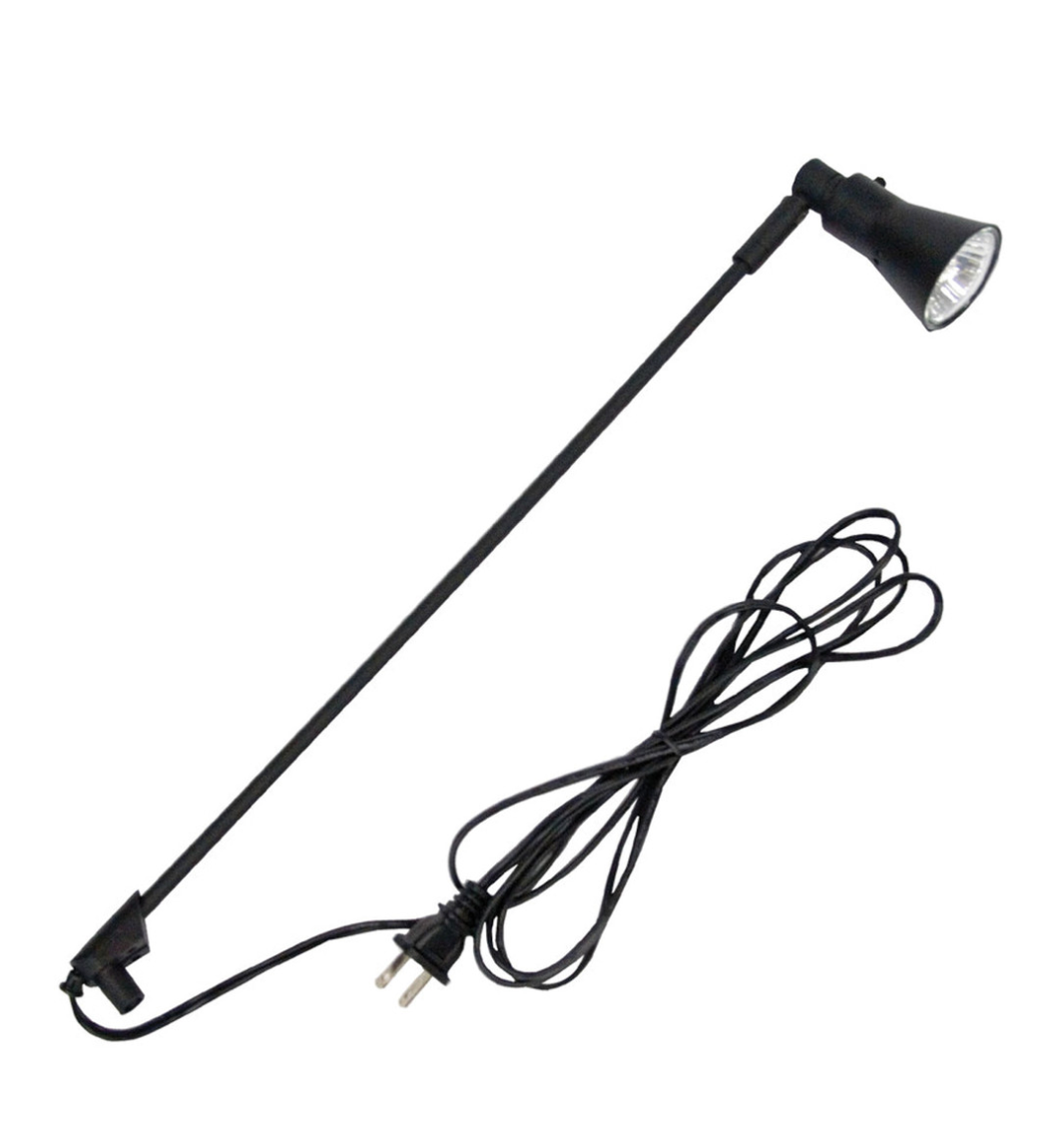 50 Watt Light