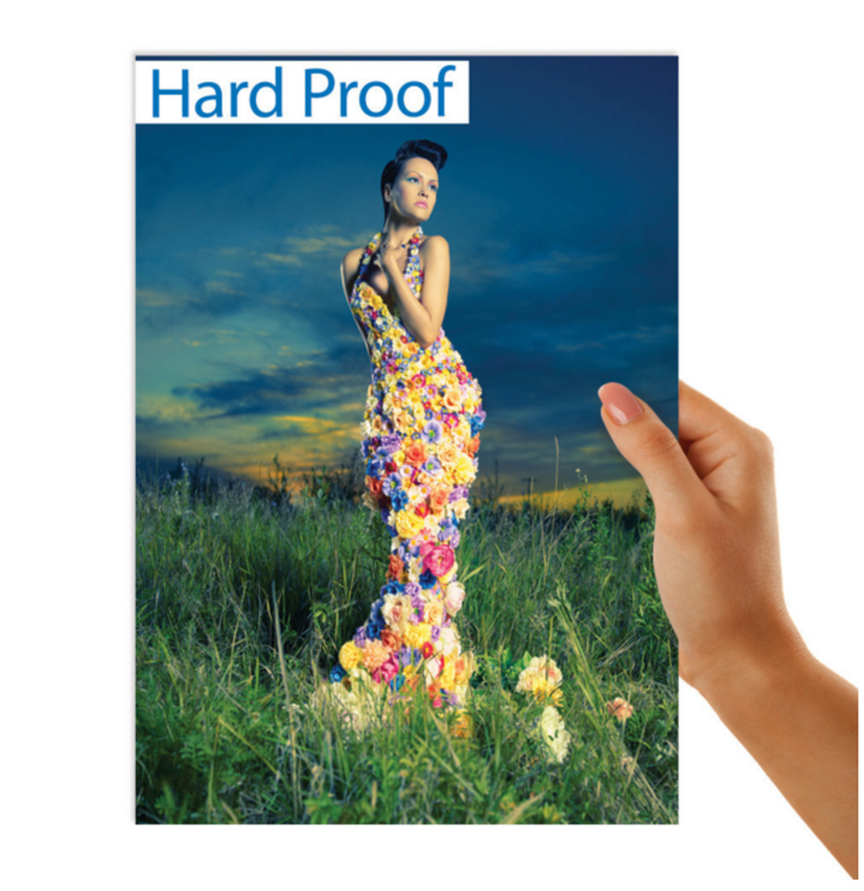 Hard Copy Proof